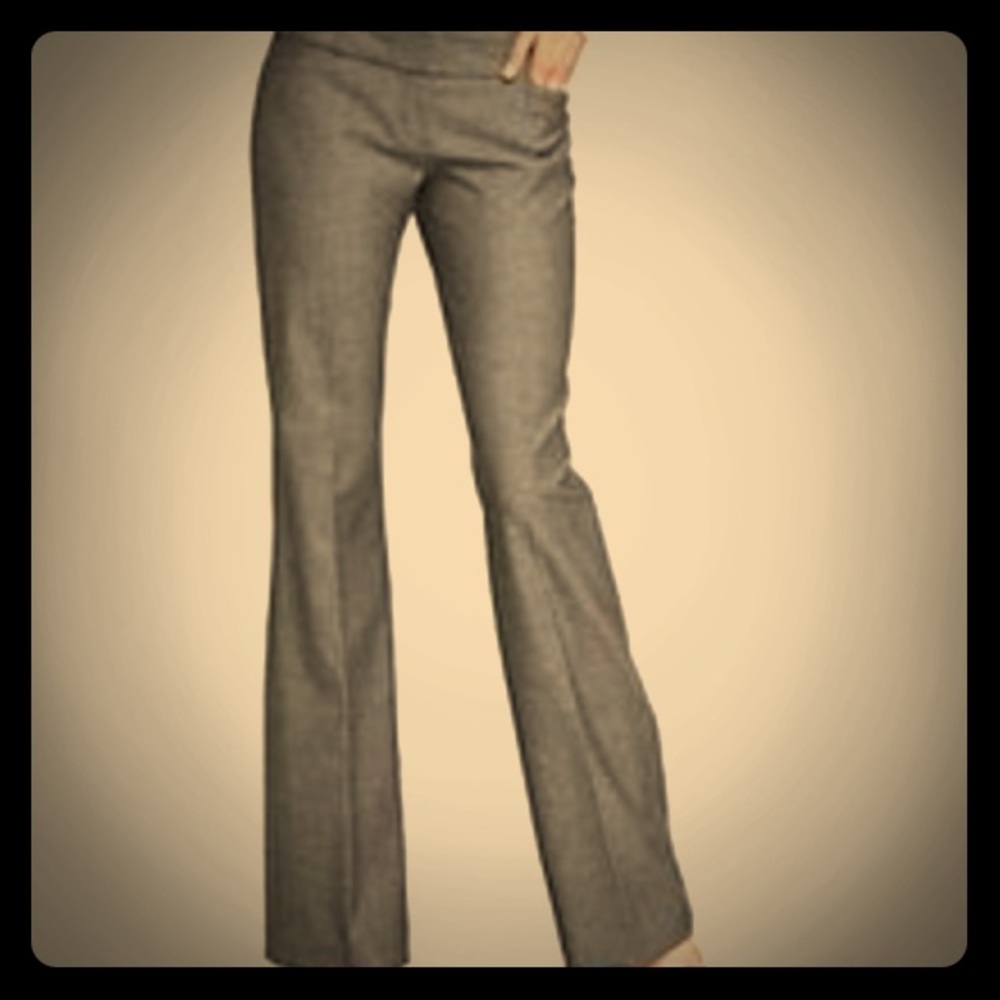 Express Design Studio Editors Slacks